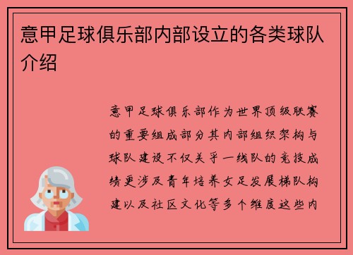 意甲足球俱乐部内部设立的各类球队介绍