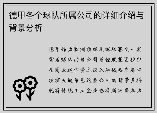 德甲各个球队所属公司的详细介绍与背景分析